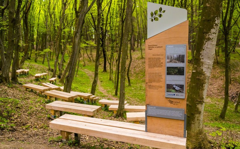 Pădurea-parc Făget - Plămânul verde al Clujului, premiul I la New European Bauhaus 2024