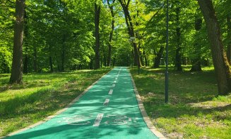 Parcul Pădurea Bungăr din Dej își deschide oficial porțile pe muzica celor de la Direcția 5