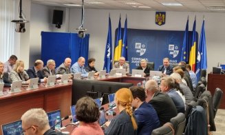 PNL schimbă liniile în Consiliul Județean Cluj. Cine se luptă pentru funcția de vicepreședinte