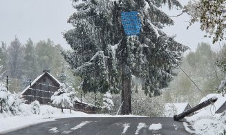 Zăpada care a căzut în judeţul Cluj a rupt copaci şi stâlpi de curent