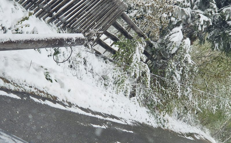 Zăpada care a căzut în judeţul Cluj a rupt copaci şi stâlpi de curent