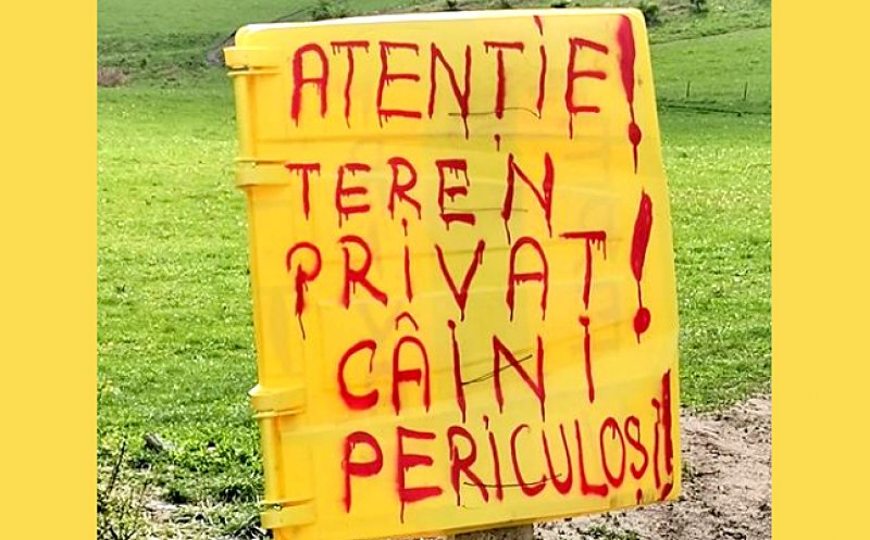 Pancartă ruptă din filmele horror, la marginea pădurii, în Florești / ”Când câinii tăi atacă alți câini/oameni, devine o problemă legală”