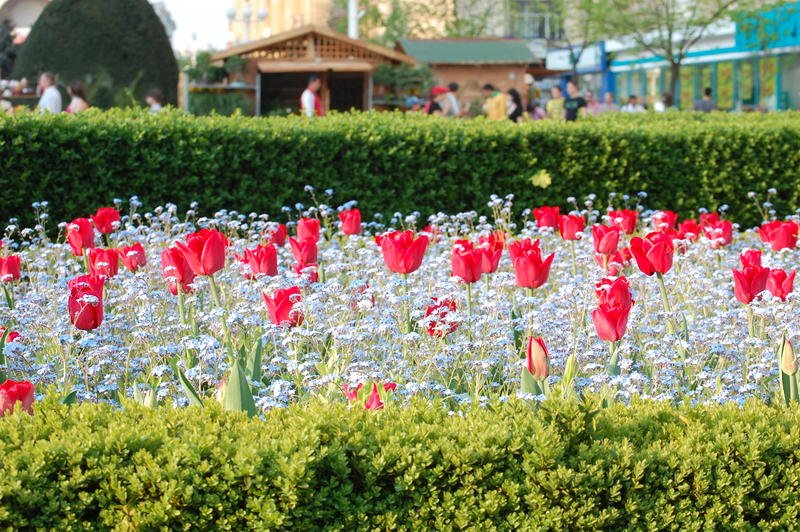 Aproape 1,8 milioane de români își sărbătoresc ziua numelui, de Florii. Ce urări le puteţi face celor dragi cu ocazia onomasticii