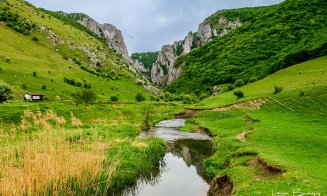 Început de Mai divin în Cheile Turzii