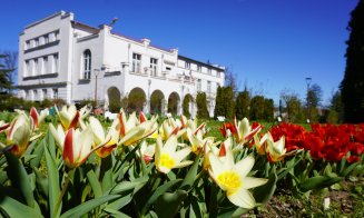 Record de vizitatori înregistrat la grădina botanică din Cluj! Zeci de mii de fire de lalele, narcise și zambile așteaptă încă să fie admirate