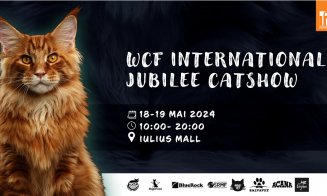 100 de pisici din rase deosebite vor participa în acest weekend, în Iulius Mall Cluj, la ediția jubiliară a WCF International Cat Show