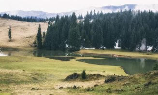 Poiana fără seamăn din Apuseni. Este la 100 de km de Cluj