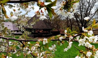 Festival de primăvară, în Parcul Etnografic „Romulus Vuia” din Cluj