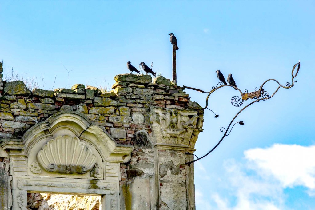 Castel din Cluj: "O bijuterie uitată - măcinată de timp și nepăsare"