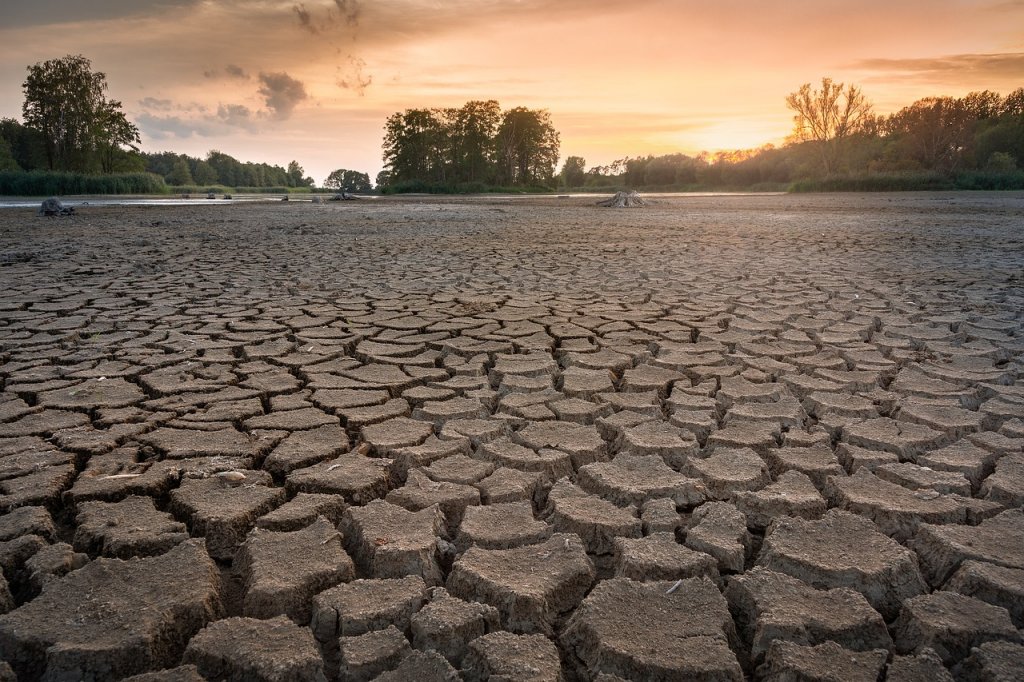 Ziua Mediului. O treime din România şi 40% din suprafaţa agricolă, în zone cu risc de deşertificare