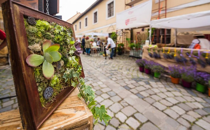 Piața de flori „altfel” din Cluj-Napoca revine pe Potaissa cu plante, muzică și dezbateri