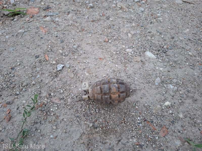Grenadă găsită într-un parc din Satu Mare. Au intervenit pirotehniștii