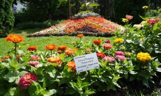 Vizitați sectorul Ornamental al Grădinii Botanice din Cluj-Napoca