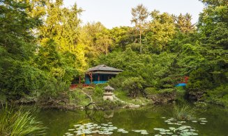 Weekend cu multe surprize la Grădina Botanică