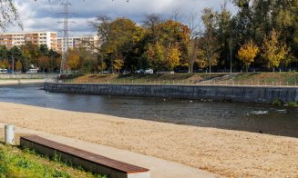 Cadavrul unui căine, găsit pe malul râului Someș în Cluj-Napoca. A fost întocmit un dosar penal