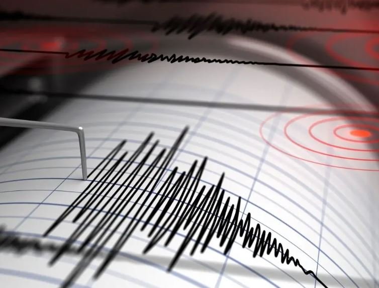 Cutremur în România, în această dimineață! INCDFP: "L-ai simțit? Lasă-ne un feedback!"
