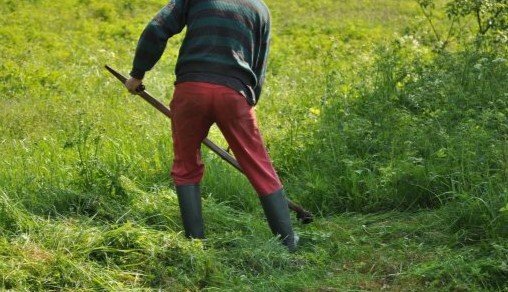 Caz șocant într-o localitate din Cluj. Bărbat lovit în cap de un vecin pentru că ar fi cosit un petic de iarbă de pe pământul acestuia
