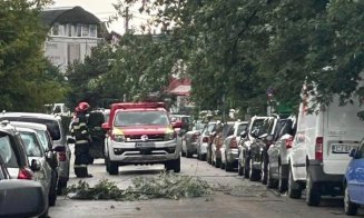 Furtuna a făcut ravagii în Cluj: Bucăți de acoperiș smulse, inundații și copaci doborâți