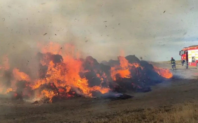 Incendiu în Cluj: Au ars cinci hectare de vegetație și 100 de baloți de paie