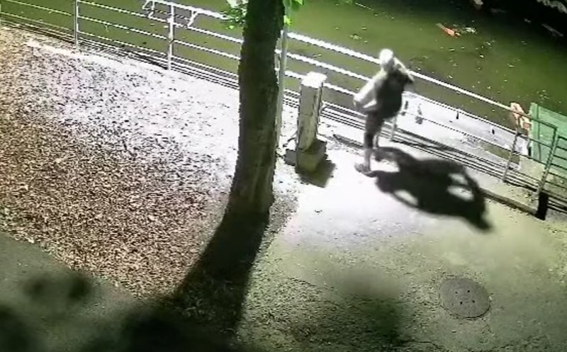 Cluj: Vandalism ca "distracție". Doi tineri surprinși de camerele de supraveghere în timp ce aruncau tot ce apucau în lacul unui parc