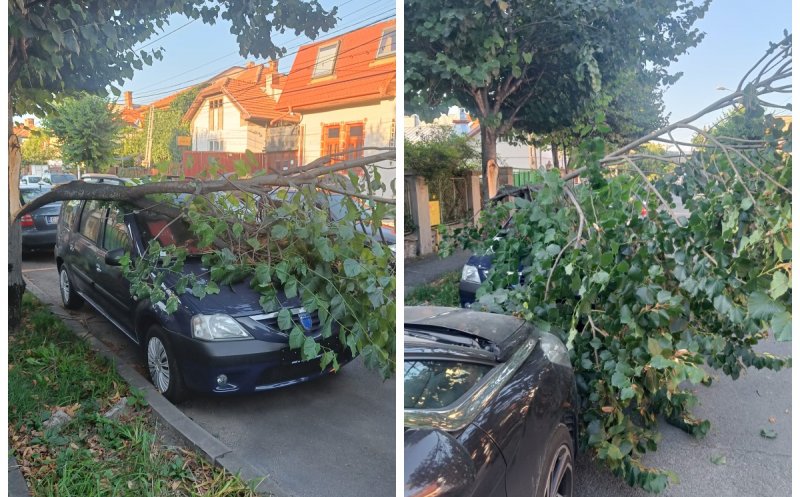 Incident în Cluj-Napoca: O bucată de copac s-a rupt și a căzut peste o mașină parcată