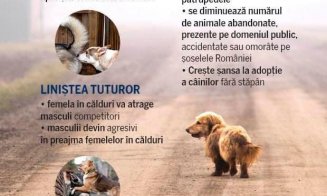 Maria Forna: „Sterilizarea animalelor de companie rămâne o prioritate pentru ATOP Cluj”
