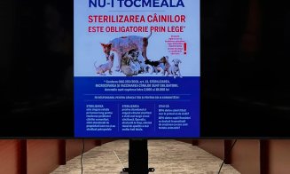 Maria Forna: „Sterilizarea animalelor de companie rămâne o prioritate pentru ATOP Cluj”