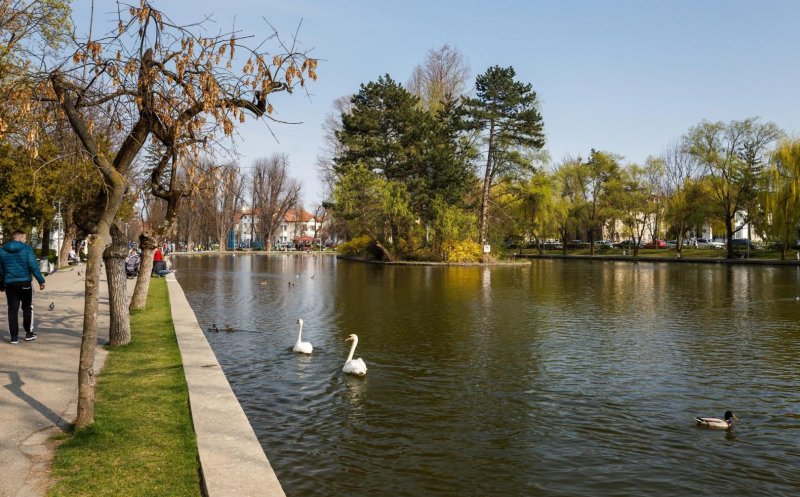 Locuri și străzi de poveste din Cluj-Napoca | Parcul Central