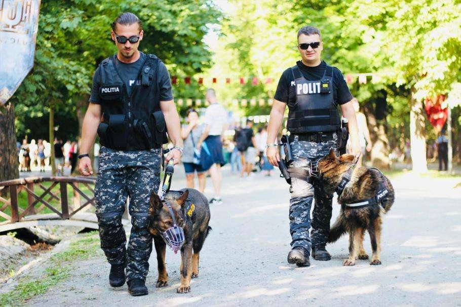 UNTOLD 2024: Scădere semnificativă a numărului persoanelor prinse cu droguri comparativ cu anul trecut
