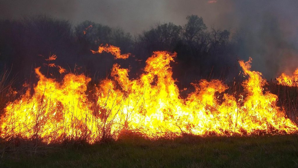 Tragedie în Cluj: Un bărbat a murit într-un incendiu de vegetație uscată pe care l-a provocat chiar el