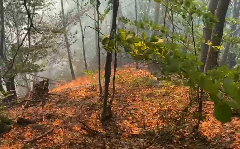 Incendiu violent într-un sat din Cluj. Flăcările se extind rapid din cauza vântului puternic