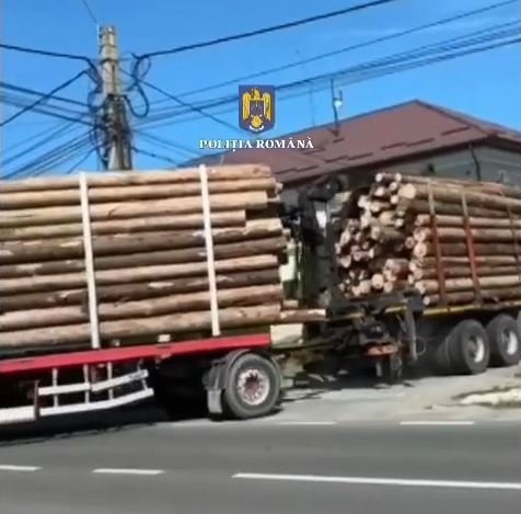 Cluj: Camion cu lemne de peste 300.000 de lei fără acte, tras pe dreapta după o sesizare la 112