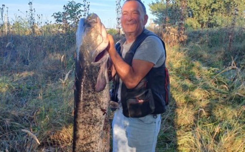Captura zilei în Ardeal! Un pescar a prins un somn uriaș de 1,54 metri și 26 de kilograme
