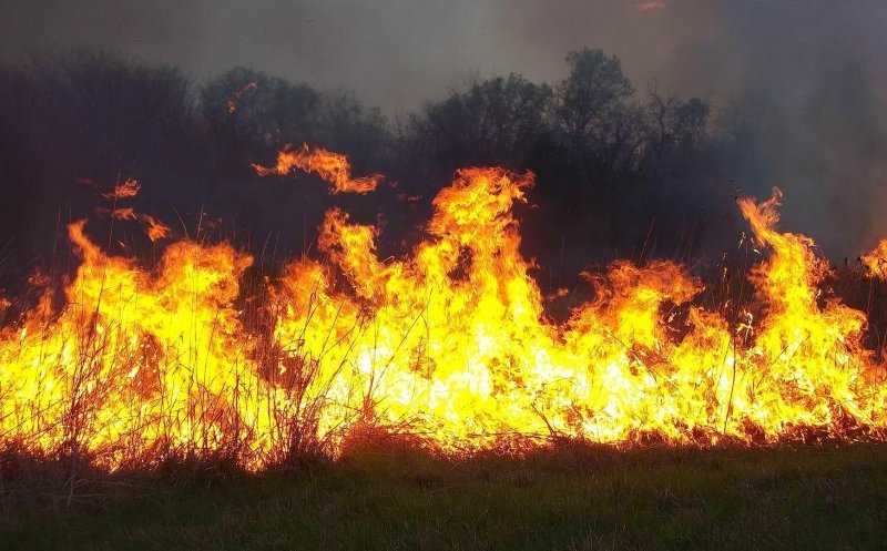 Incendiu de proporții izbucnit în Cluj. Pompierii luptă pentru a stinge flăcările pe trei hectare de teren