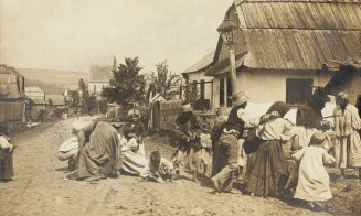 "Vederi din Cluj" (1902-1904). Calea Mănăștur
