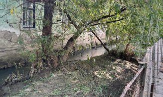 Sălciile din albia Canalului Morii din Cluj-Napoca, tăiate! Au cerut-o riveranii, după ce le-au fost inundate gospodăriile