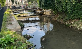 Sălciile din albia Canalului Morii din Cluj-Napoca, tăiate! Au cerut-o riveranii, după ce le-au fost inundate gospodăriile