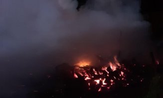 Incendiu în localitatea Sântejude / Un cal și șapte găini au murit