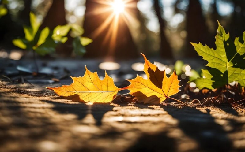 Prognoza meteo pe patru săptămâni. Cum va fi vremea până la jumătatea lui octombrie