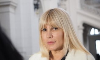 Elena Udrea ar putea fi eliberată azi din închisoare. Se așteaptă decizia magistraților