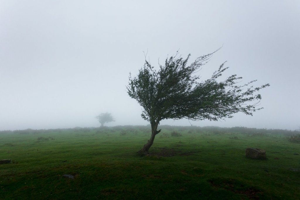 Atenționare meteo de vânt puternic în Cluj! Rafalele pot ajunge până la 110 km/h