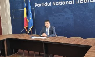 Deputatul Moisin acuză USR de manipulare: „Orice vot dat Elenei Lasconi este un vot indirect către PSD"