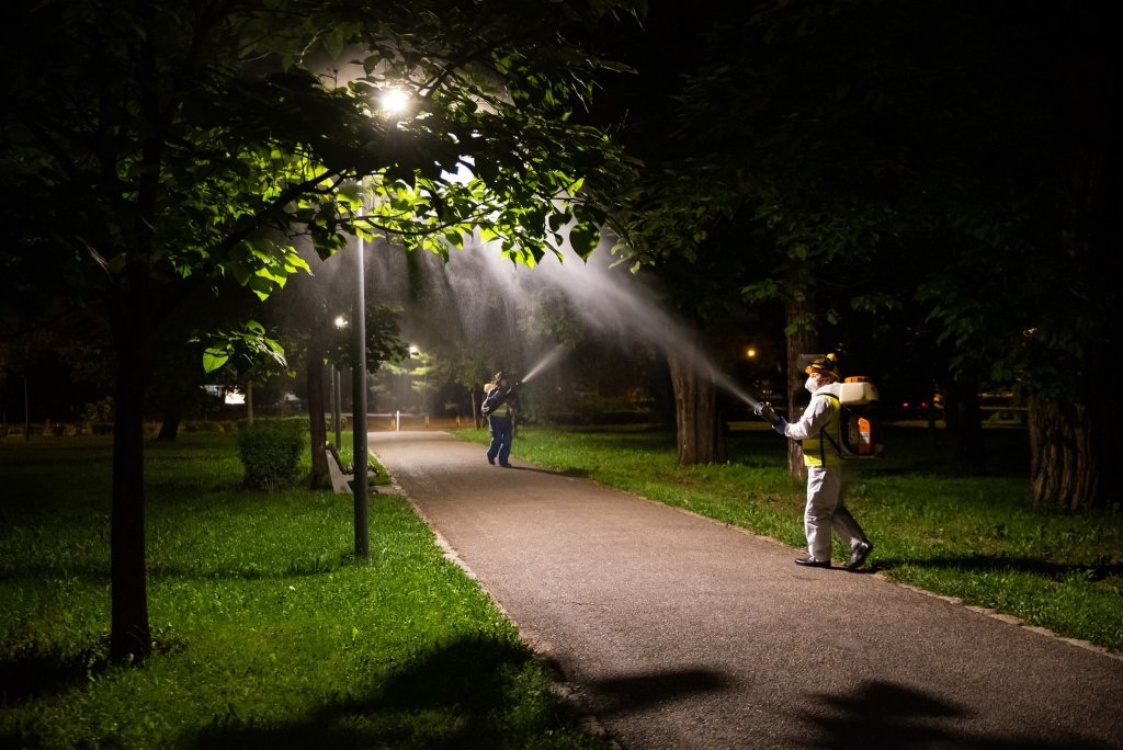 Tratamente fitosanitare pentru arborii din Cluj-Napoca. Între ce ore se desfășoară și cât durează