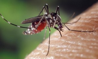 Încă un caz cu West Nile în Cluj/ Numărul deceselor a ajuns la 18