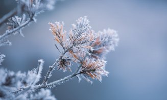 Când încep ninsorile. ANM a anunțat prognoza pentru iarna aceasta