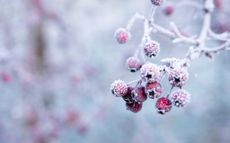 Val de aer polar peste România: temperaturi de iarnă la început de noiembrie