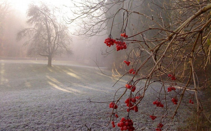 Prognoză nouă de la meteorologi! Cum va fi vremea de Sf. Andrei și 1 Decembrie