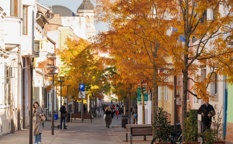 Toamnă superbă la Cluj / Imagini surprinse în mai multe locuri din oraș