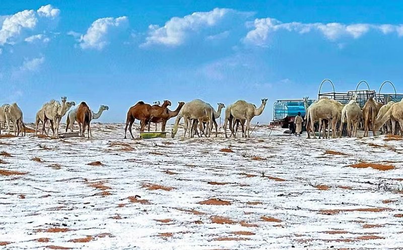 A nins pentru prima dată într-un deșert din Arabia Saudită, unde temperaturile ajung și la 55 de grade