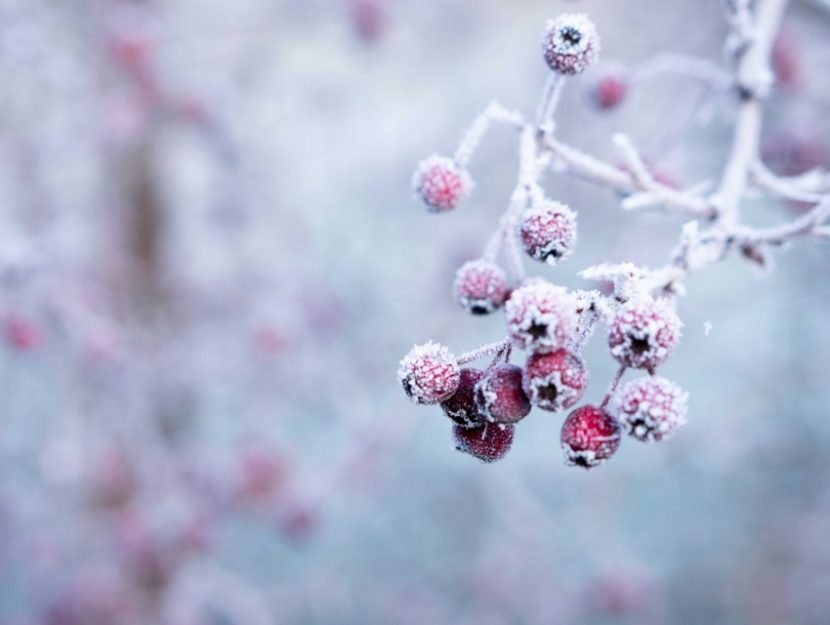 Meteorologii vin cu o nouă prognoză! Se instalează deja iarna?